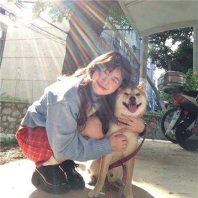 我是霸王龙